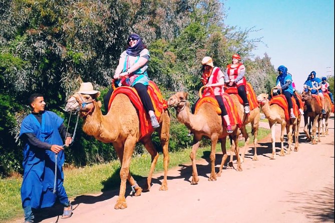 5 Valleys Atlas mountains day trip from Marrakech with camel ride - Why This Atlas Day Trip Feels Like More Than a Side Trip
