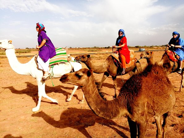 5 Valleys Atlas mountains day trip from Marrakech with camel ride - What the Tour Includes (and Why That Helps the Value)