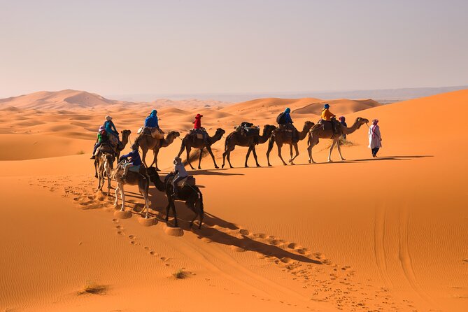 6-Day Private Morocco Cultural Tour From Casablanca To Marrakech - Fes el-Bali: How the Guided Medina Stops Save You Time and Confusion