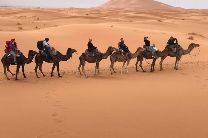 6-Day Private Tour from Casablanca to Marrakech - The Atlas-to-desert transition: Ifrane, cedar forests, and the Ziz Valley