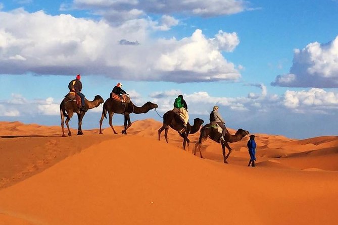 6 Days: From Casablanca Morocco Desert - Day 3 Fez-focused guided medina day with artisans and tanners