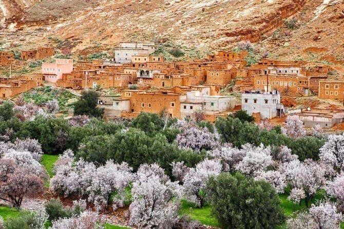 6 Days Private Tour From Fes to Marrakech - Value and what $958.57 per person actually covers