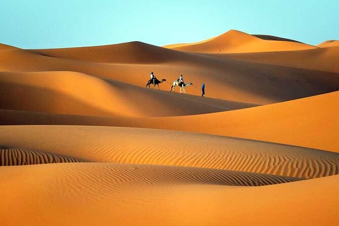 6 Days Private Tour From Fes to Marrakech - Day 1: Ifrane, Rissani, then Erg Chebbi camel trek in Merzouga