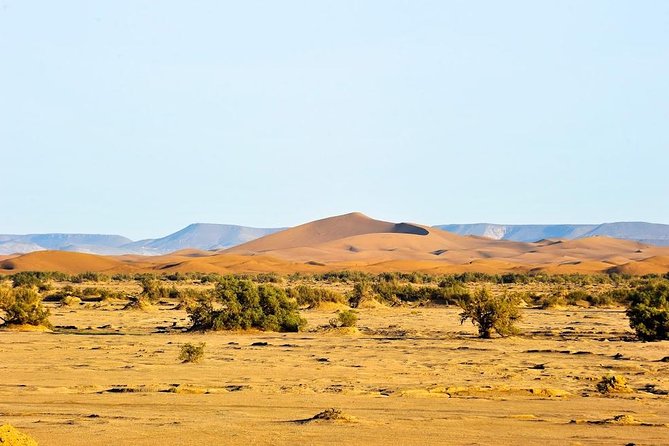 6 days trekking To The heart of Desert - What you’re really paying for: guides, camel drivers, and sun-managed pacing