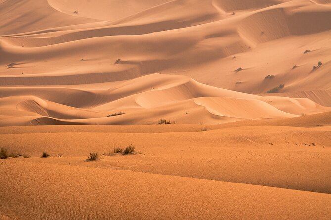 6 Days trip in Morocco from Casablanca - Ouarzazate and Ait-Ben-Haddou: Hollywood Morocco and pre-Saharan architecture