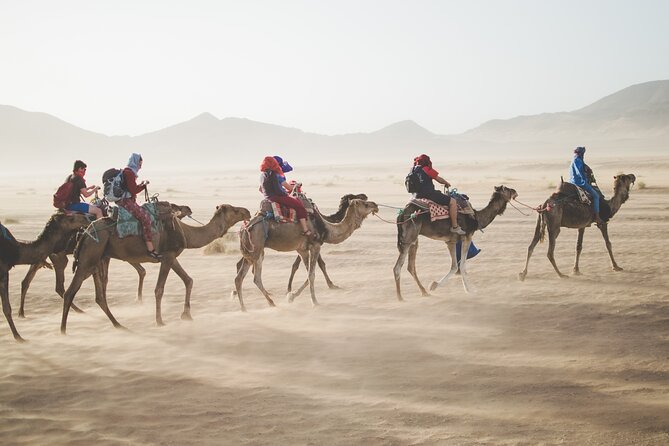 6 Days trip in Morocco from Casablanca - Fez essentials: Royal Palace area, Mellah, Borj Nord, and Kaïrouine