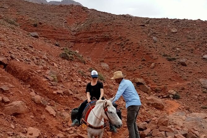 6-hour private hike to discover Berber villages - Ourika Valley, 6 Hours, and a Worthwhile Private Day from Marrakech