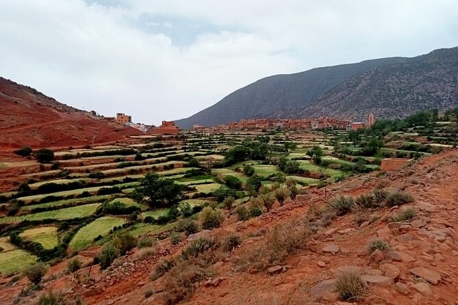 6-hour private hike to discover Berber villages - Village Walking in Amazigh Country: Tizi n’ouchag and Daily Life on the Ground