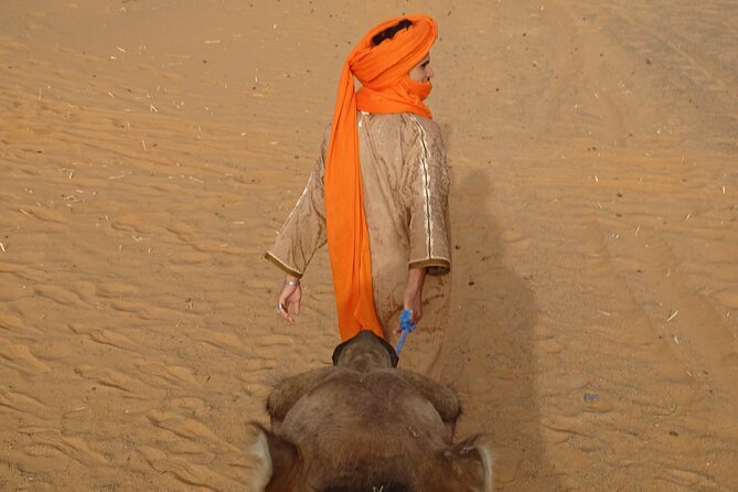 7-Day Romantic Tour in Morocco - Walking Fez el-Bali: a car-free maze built for slow steps