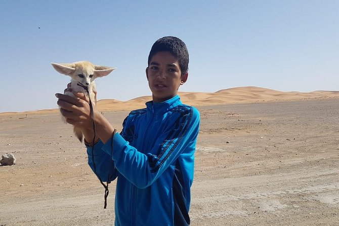 7-days: Casablanca to Chefchaouen then Fes and Sahara Desert - Camel Trekking - South through Morocco’s “in-between”: Ifrane, Azrou monkeys, Ziz Valley fossils