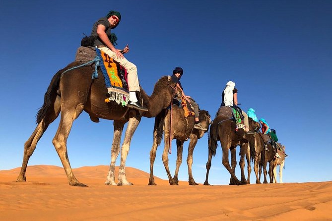 7-days: Casablanca to Chefchaouen then Fes and Sahara Desert - Camel Trekking - Chefchaouen: the blue medina with room to wander