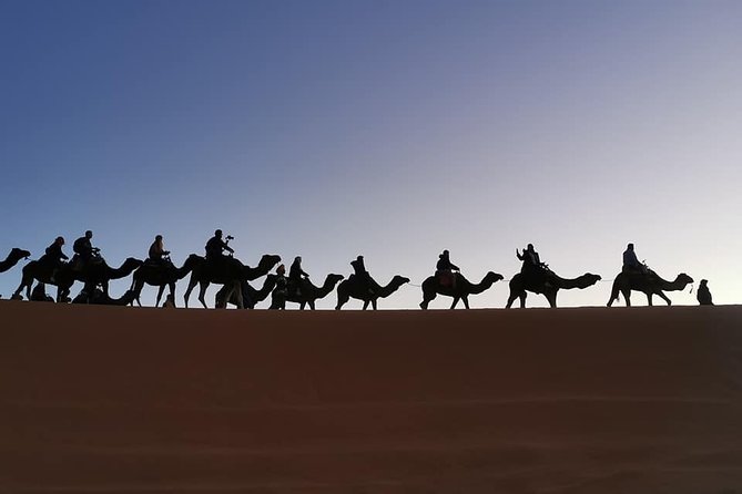 7 Days Discovery The Atlas Mountains & Luxury Sahara Desert From Casablanca - Price and logistics: what $2,000 really covers