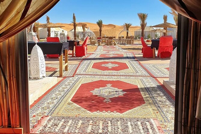 7 days Tour from Tangier to Marrakech Morocco Tours - Day 4: Ifrane, Azrou cedar forest monkeys, then Erfoud and Erg Chebbi