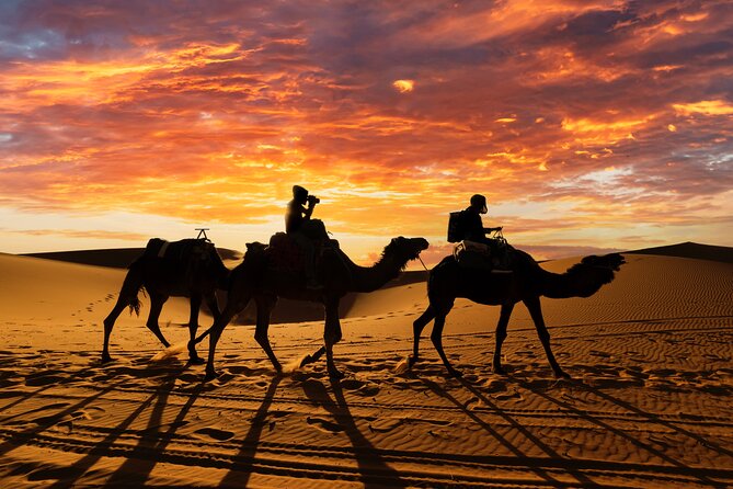 7 Days Tour Imperial Cities , Sahara Desert From Casablanca - Fez with a local guide: Karaouine, Bouanania, tanneries, souks