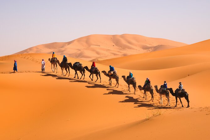 7D Desert Private Tour From Marrakech By Fes And Blue Chefchaouen - Todra Gorge to Merzouga: from canyon walls to Erg Chebbi dunes