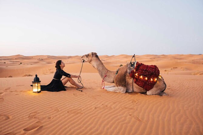 8 Days 7 Nights private tour Marrakech-Sahara Desert-Chefchaouen - Key things to know before you go