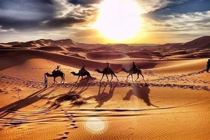 8-Days Private Tour Luxury to Fez via Desert from Marrakech & transfers airport - The return to Fez: Rissani, Ziz Valley, cedar forest, and Ifrane
