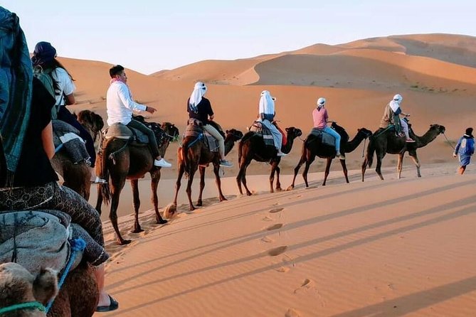 8 Days Tour From Casablanca to Merzouga Desert Fes and Marrakech - Middle Atlas to Merzouga: Ifrane, Azrou monkeys, and Ziz Valley heat