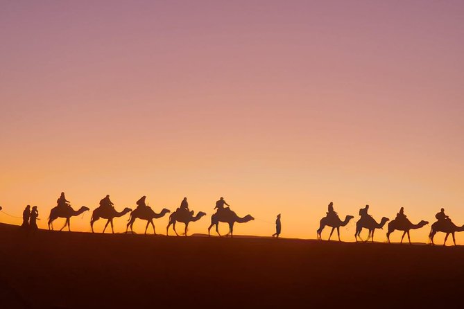 8 Days Tour From Casablanca to Merzouga Desert Fes and Marrakech - Marrakech sightseeing: Bahia Palace, Saadian Tombs, souks, Majorelle, and Jamaa El Fna