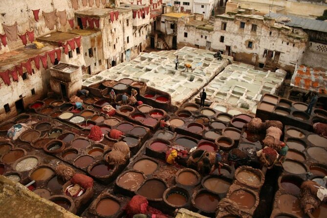 8 Luxury Days Tour Fez to Marrakech via Desert with Transfers airport - Key highlights worth your attention
