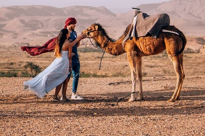 8D Morocco Luxury Private Tour From Casablanca By Imperial Cities - Final day in Casablanca: airport timing and a museum add-on