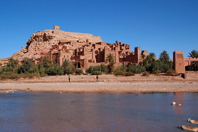 9 Day Tour from Casablanca via Chefchaouen, Fez, Marrakech & Desert - Marrakech: Koutoubia, Jamaa el-Fna, and a calmer garden break