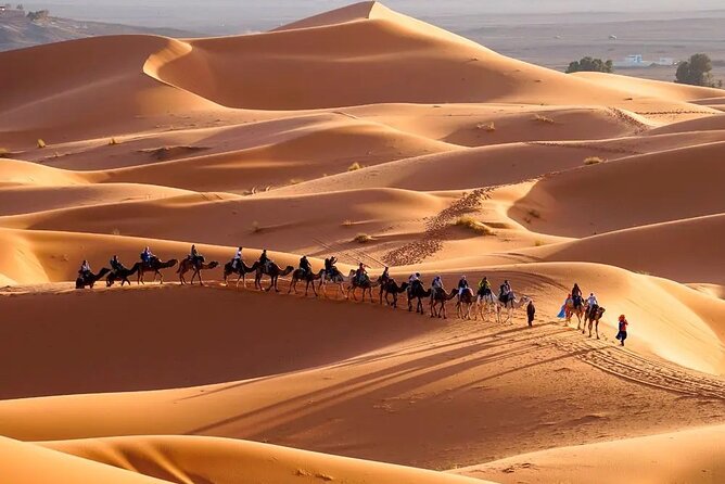 9 Days tour from casablanca to the desert via chefchauen , fez - Road of a Thousand Kasbahs: roses, Ouarzazate film sets, and Ait Ben Haddou