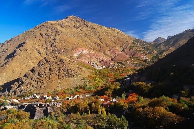 a day in the High Atlas and discovery of Berber culture - Key highlights I think you’ll care about