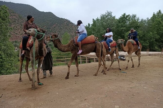 a day in the High Atlas and discovery of Berber culture - Food coverage and timing: lunches, dinners, and how the pace stays manageable