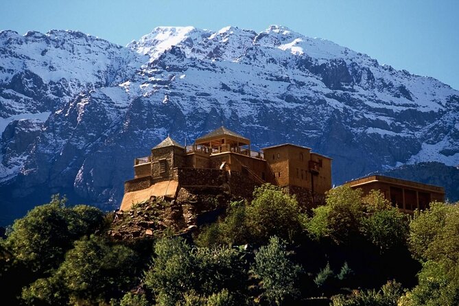 a day in the High Atlas and discovery of Berber culture - Tahnaout argan cooperative: what you learn before you buy