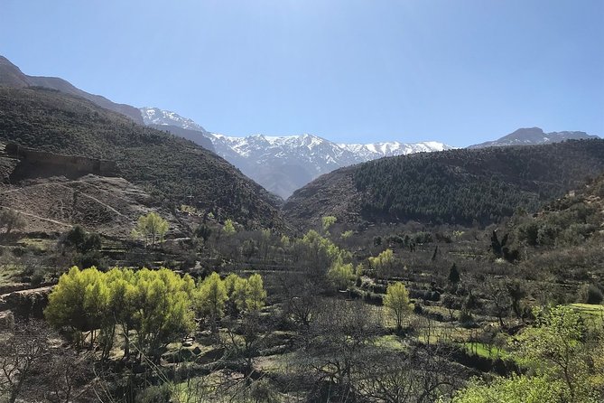 A Journey to Ourika Valley & Waterfall - Who’s running the show: driver professionalism and mountain-guide care