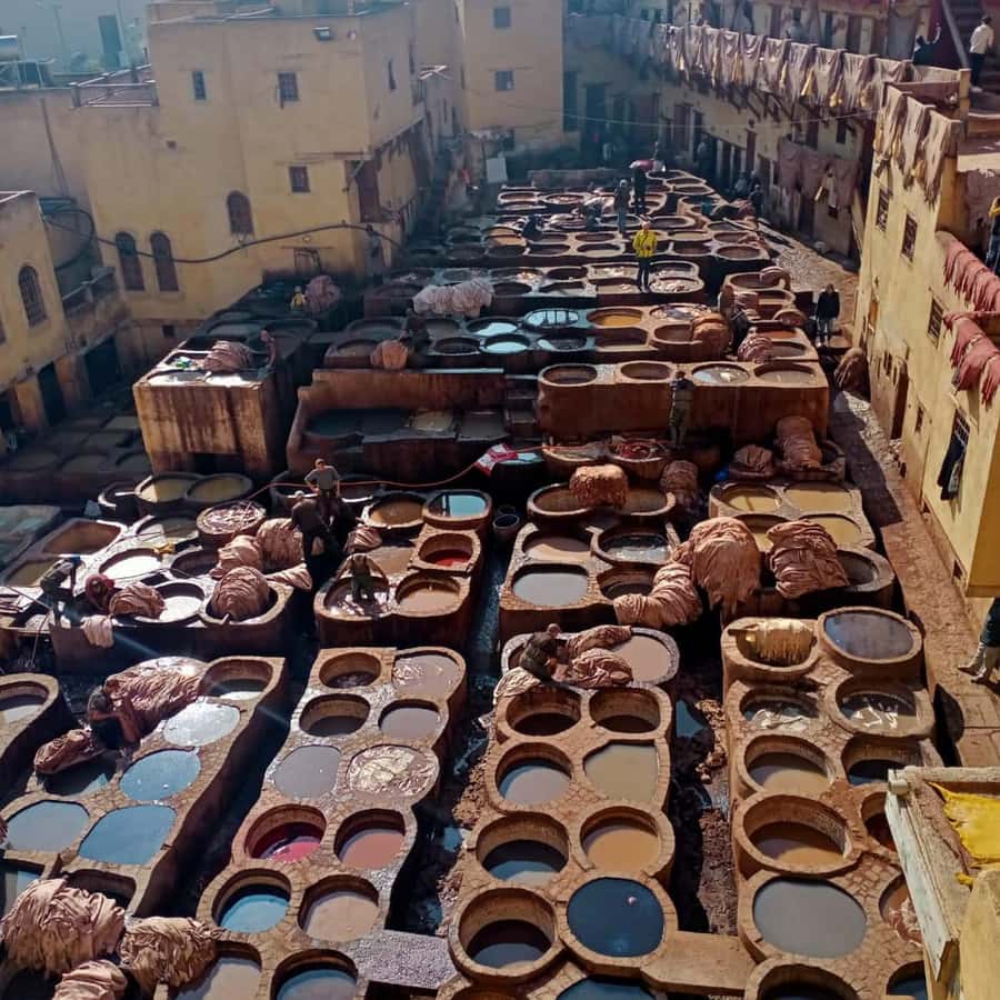 A tour with an expert guide in the old city of Fez - Key highlights you’ll feel right away