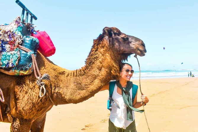 A wonderful day in Essaouira from Marrakech - Free Wandering in the UNESCO Alleys and Jewish Quarter