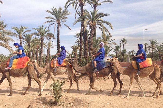 activities in Marrakech camel ride tour in palm grove - Key things to notice before you go