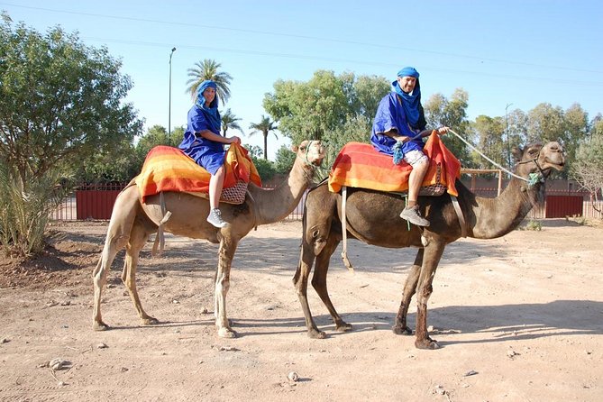 activities in Marrakech camel ride tour in palm grove - Price and value: why $34.90 can make sense for 2 hours
