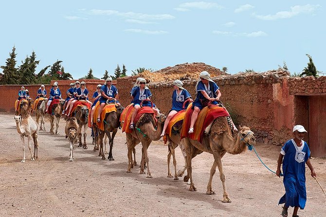 activities in Marrakech camel ride tour in palm grove - Djebellas and djellabas: the quick lesson that makes the photos look real