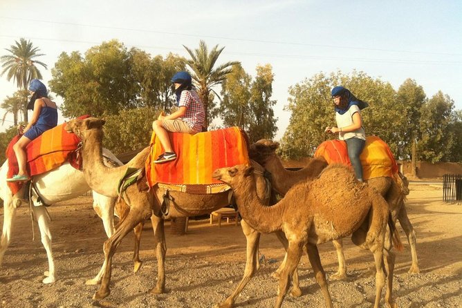 activities in Marrakech camel ride tour in palm grove - Tea and the rhythm of a 2-hour outing