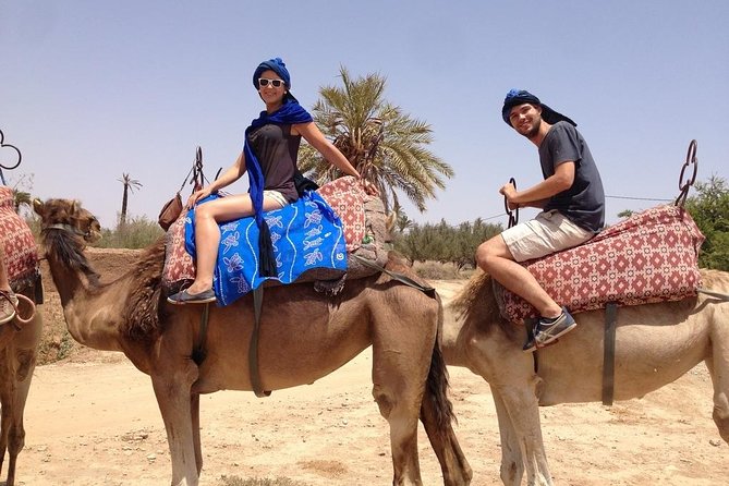 activities in Marrakech camel ride tour in palm grove - Getting picked up: AC vehicle, real timing, and comfort on day one
