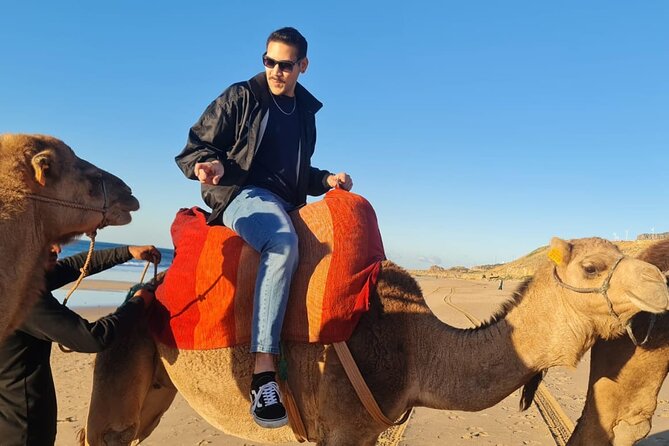 Adventure day in Tangier + free photography - Achakkar Beach camel ride: the fun factor, and the extra cost