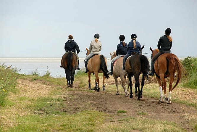 Agadir 2-Hour Horse Riding Experience with Pickup - The Ranch Finish: Mint Tea, Photos, and Restrooms