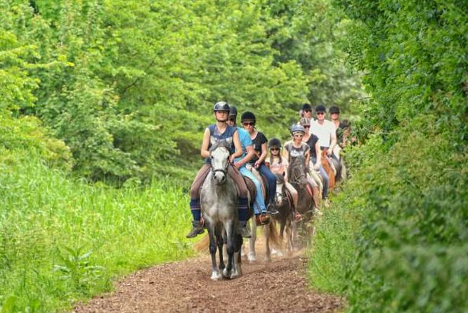 Agadir 2-Hour Horse Riding Experience with Pickup - Private Tour Reality Check: What Private Usually Means Here