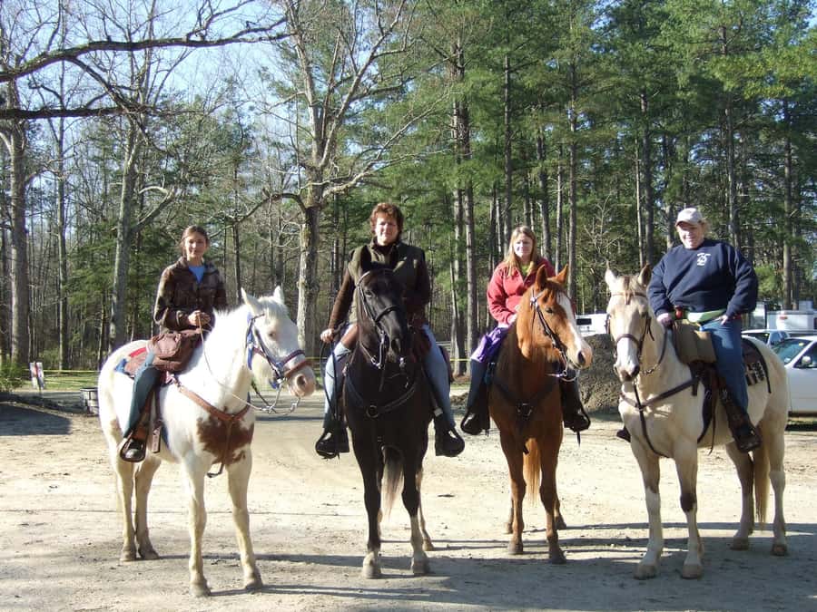 Agadir 2hours Horse Riding visite the flamingo river - Who This Tour Suits Best
