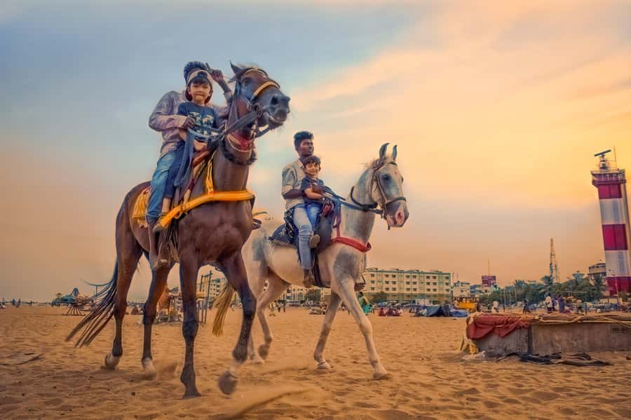Agadir 2hours Horse Riding visite the flamingo river - Dunes, Eucalyptus, and the Flamingo River Moment