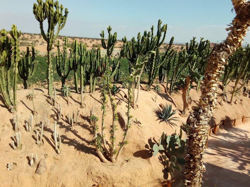 Agadir: Agadir Crocodile Park Adventure - Family breaks that actually help: café, playground, toilets