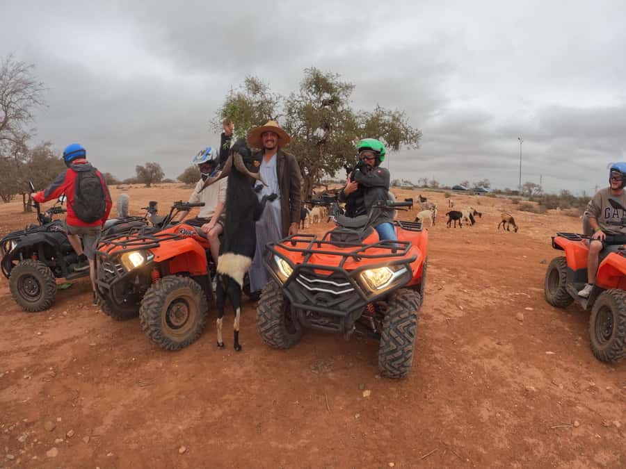 Agadir: Agafay Desert Quad Biking With Goats On The Tree - Who Should Book This Agafay Quad and Goat Tour