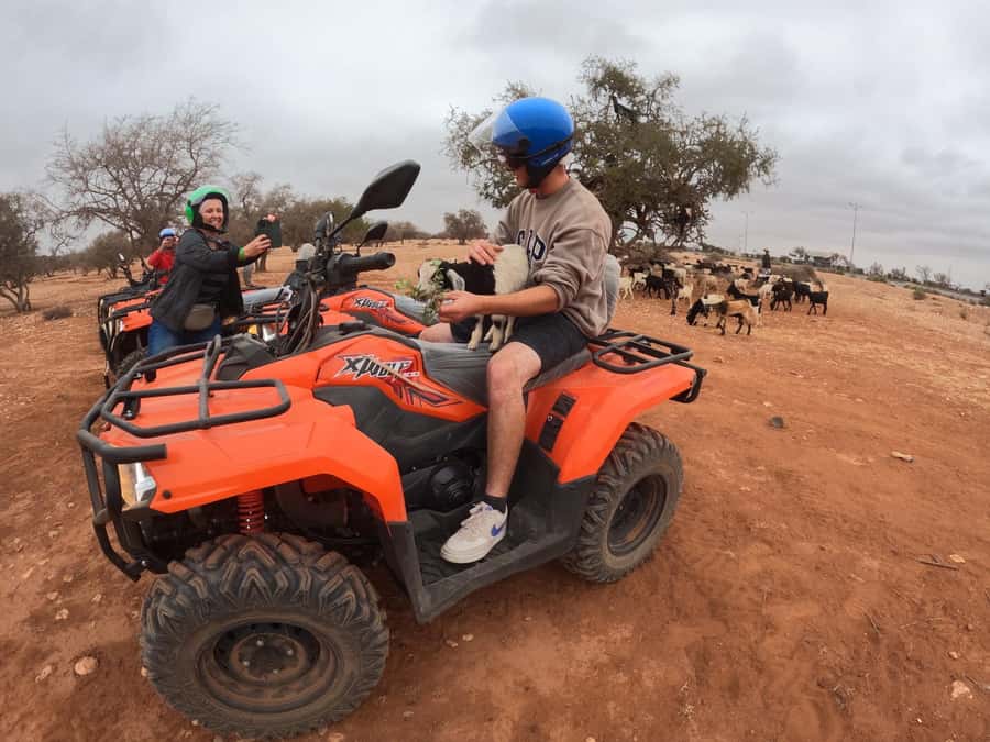 Agadir: Agafay Desert Quad Biking With Goats On The Tree - Why Agafay Quad Biking Feels Different From a Beach Excursion