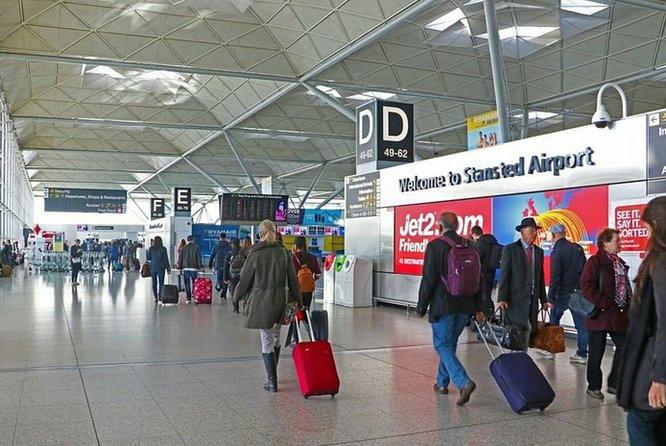 Agadir Airport Transfer Service 24/7 - Accessibility for Service Animals