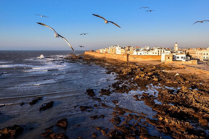 Agadir airport transfer to or from agadir city - Who Should Book This Transfer (and Who Might Want a Different Plan)