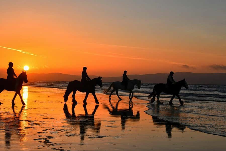 Agadir and Taghazout: 2-Hour Horseback Ride on the Beach - How Pickup and the Short Van Transfer Actually Works