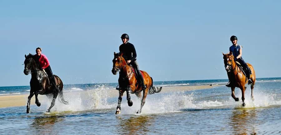 Agadir and Taghazout: Morning Horse Ride on The Beach - Photos, Time in the Saddle, and What to Expect for Comfort